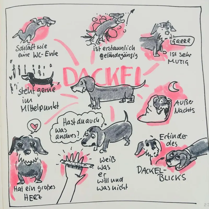 Dackel Comic 4