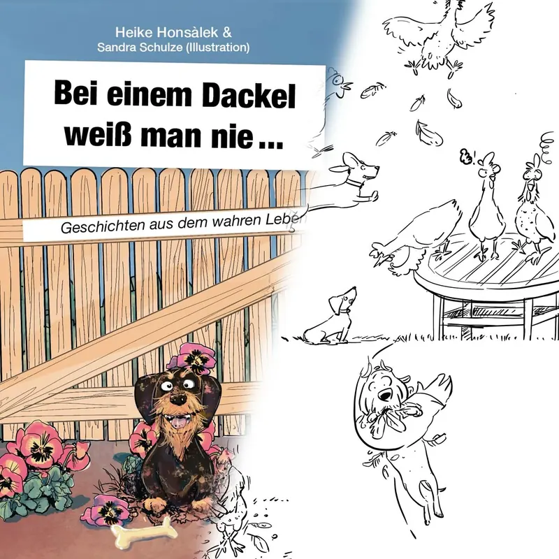 Dackel Comic 10